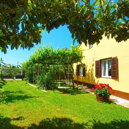 Fuer 5 Personen Ca 65 Qm In Fazana, Istrien Istrische Riviera