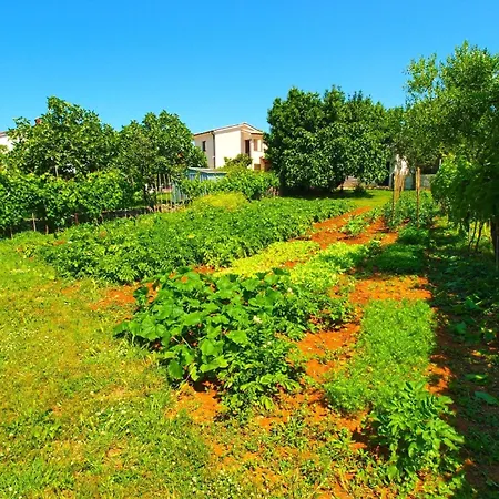 Fuer 5 Personen Ca 65 Qm In Fazana, Istrien Istrische Riviera Holiday home Fazana